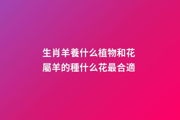 生肖羊養什么植物和花 屬羊的種什么花最合適-第1張-觀點-玄機派